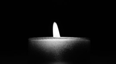 pexels-photo-333515 (1)