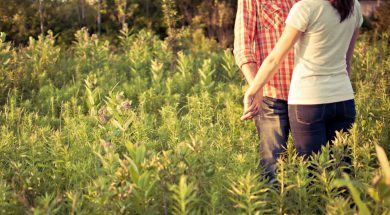 2017-04-24 16_26_54-pexels-photo-139199.jpeg ‎- Photos