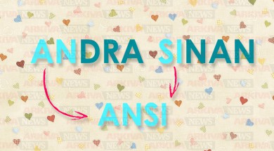 andra sinan - ansi