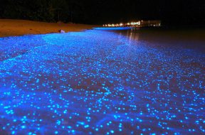 Maldives Beach That Looks Like Starry Night Sky
