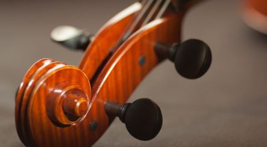 2017-04-24 12_31_21-pexels-photo-165973.jpeg ‎- Photos