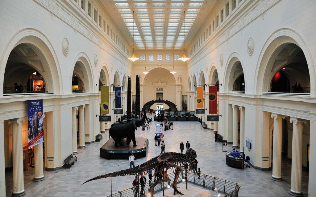 Main Hall at Field Museum
