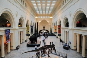 Main Hall at Field Museum