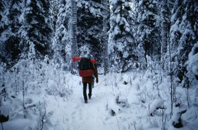 Man_with_backpacking_walking_in_forest_at_winter