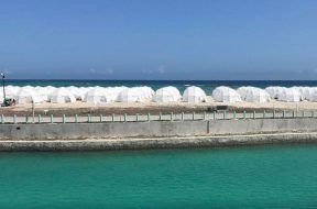 2017-04-29 12_59_02-Sherice Major (@shesomajor) • Instagram photos and videos