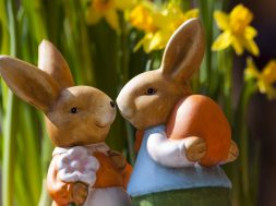 easter-bunny-easter-rabbit-bunny-couple-69816