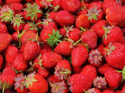 strawberries-berries-fruit-freshness-46174