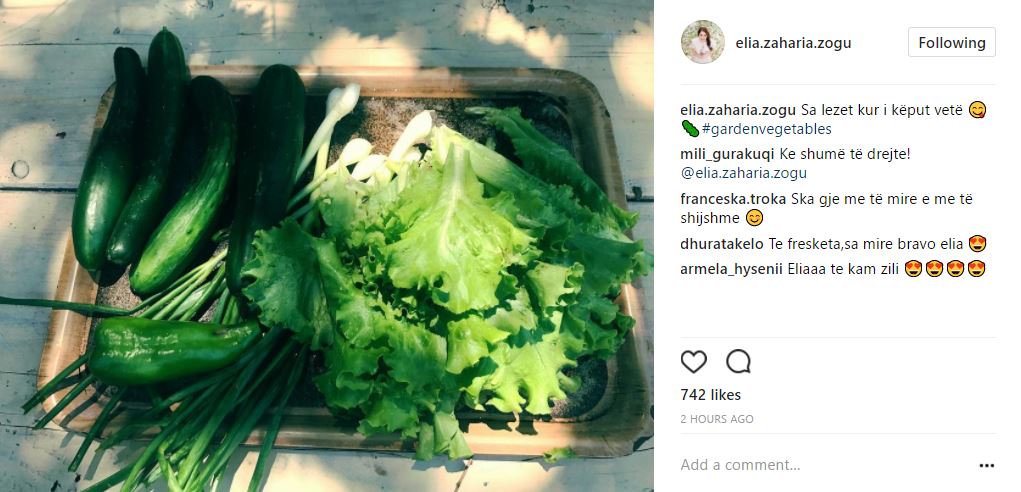 2017-06-20 14_18_52-Elia Z on Instagram_ “Sa lezet kur i këput vetë 😋🥒#gardenvegetables”