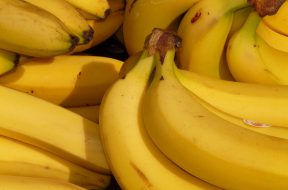 bananas-bunch-food-41957