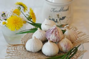 flora-flowers-freshness-garlic-416450