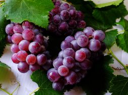 grape-fruits-708777