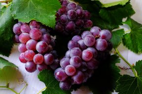 grape-fruits-708777