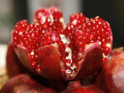 red-round-fruit-65256