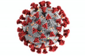 coronavirus-3992933