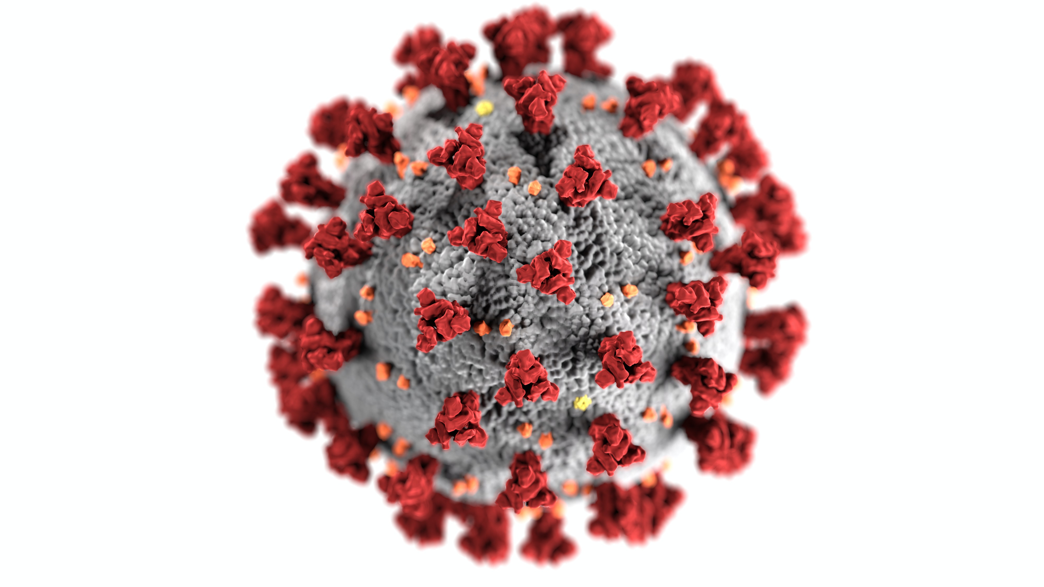 Virologia kineze publikon provat shokuese, “COVID-19 u krijua në laborator”