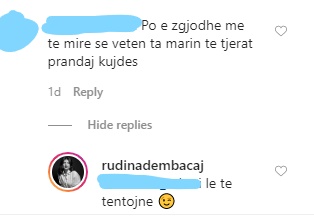 Inkedrudina_LI