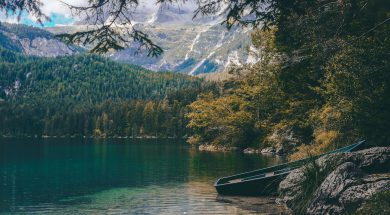 cristina-gottardi-6FIp5iRsVSg-unsplash