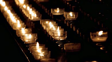 thomas-bormans-IVDwedyOS3s-unsplash