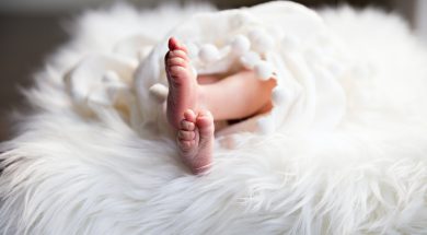 irina-murza-WCF44_NFUyA-unsplash