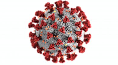 coronavirus-3992933-1