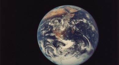 the-new-york-public-library-yEauzeZU6xo-unsplash