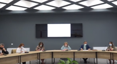 komiteti i eksperteve