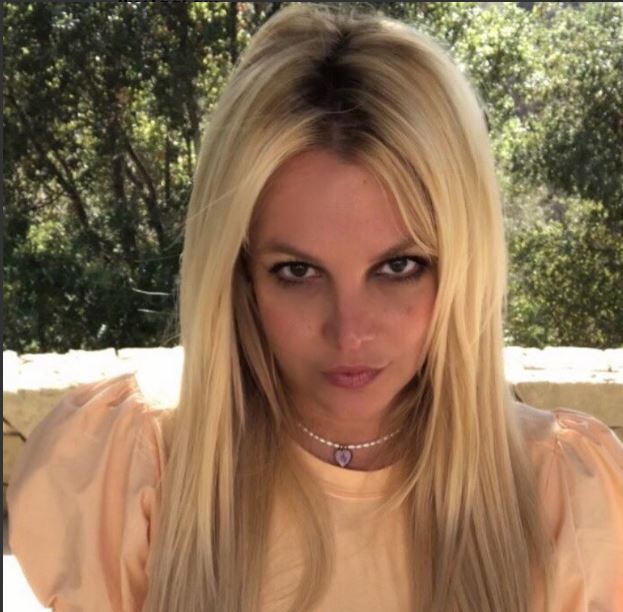 Pasi fitoi lirinë nga i ati, Britney Spears na prezanton për herë të parë me djemt e saj