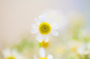 maria-3GrqSh8C4_E-unsplash