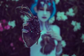 pexels-imustbedead-11481139