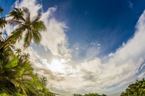 pexels-caleb-oquendo-3031100