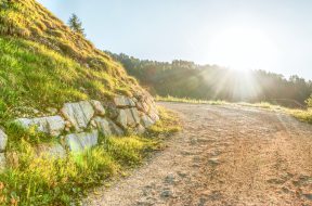 pexels-eberhard-grossgasteiger-542383