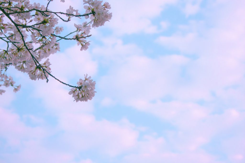 pexels-邱-韬-356267