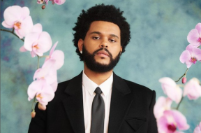 abel