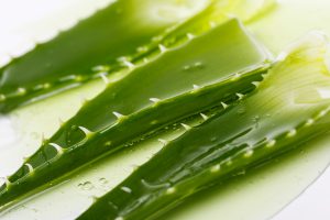 Medicine. Aloevera on a white background