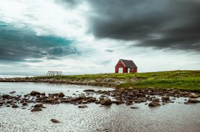 pexels-tobias-bjørkli-2669154