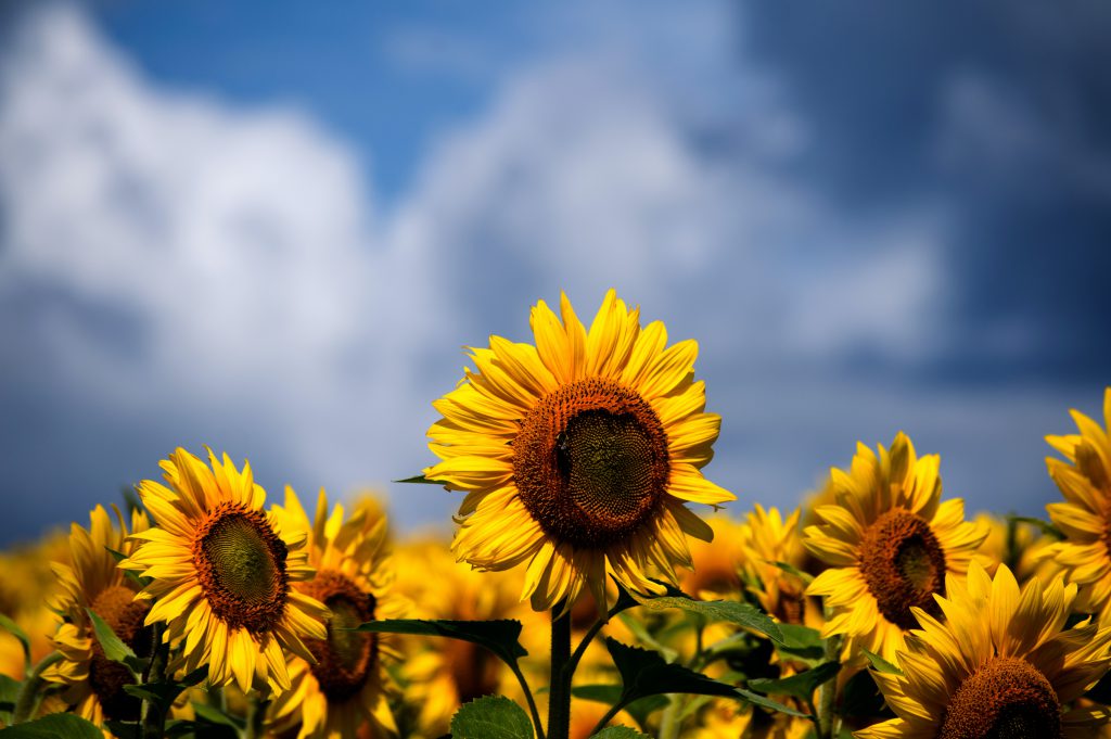 justin-casey-7B0D1zO3PoQ-unsplash