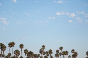 pexels-athena-2961985