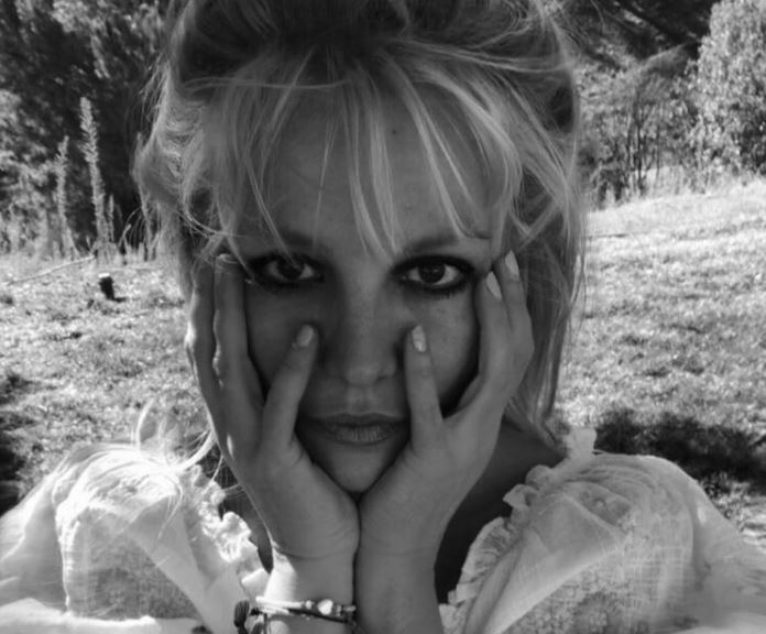 Skandalet nuk kanë fund për Spears, ish partneri publikon momentet e dhunshme