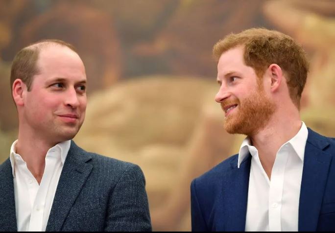‘William nuk do ta falë kurrë Harryn’, ekspertja e familjes mbretërore bën deklaratën e fortë