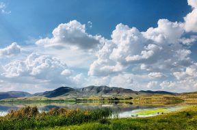 neda-astani-KWTkd7mHqKE-unsplash