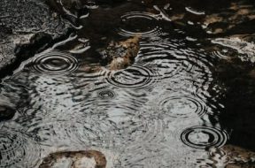 uuuuuuuuuuuuuuuuuuuuuuuu