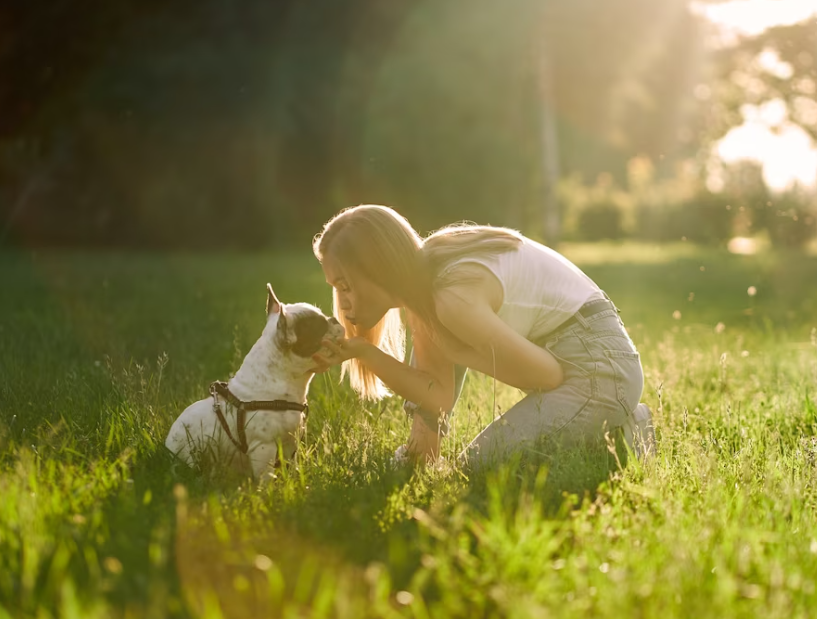 Ja si ndikojnë kafshët shtëpiake në gjendjen tuaj emocionale