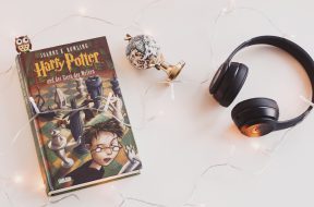 pexels-dzenina-lukac-1005012