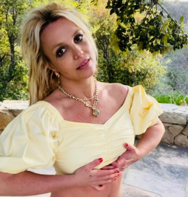 Familja e Britney Spears të shqetësuar, ngrejnë alarmin për gjendjen e saj