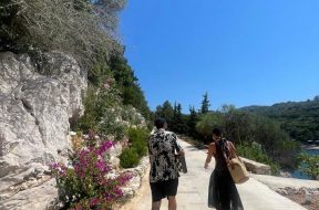 32bc82c7-ef20-4400-9a78-e249c1db7b2d