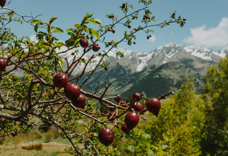 “Inside Hook”: Pushime të përsosura në Rivierën dhe Alpet shqiptare