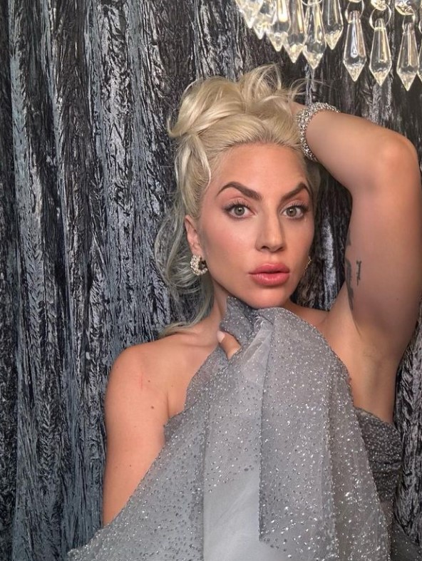 Lady Gaga i shpëton gjobës së majme falë vendimit të fundit të gjykatës