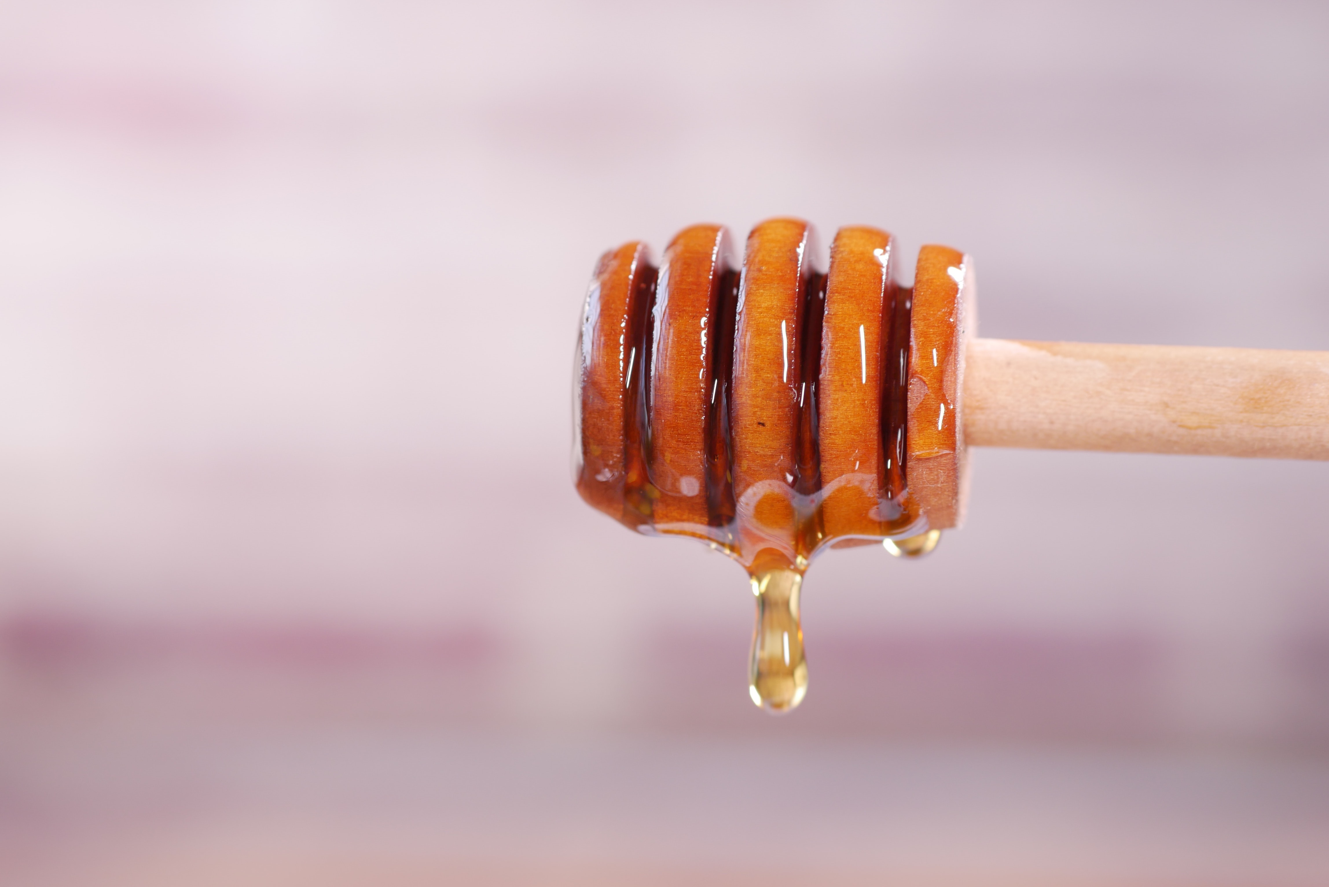 Përfitimet shëndetësore të pirjes së mjaltit me ujë të ngrohtë
