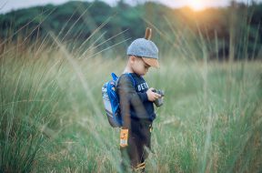 pexels-tuấn-kiệt-jr-1549974