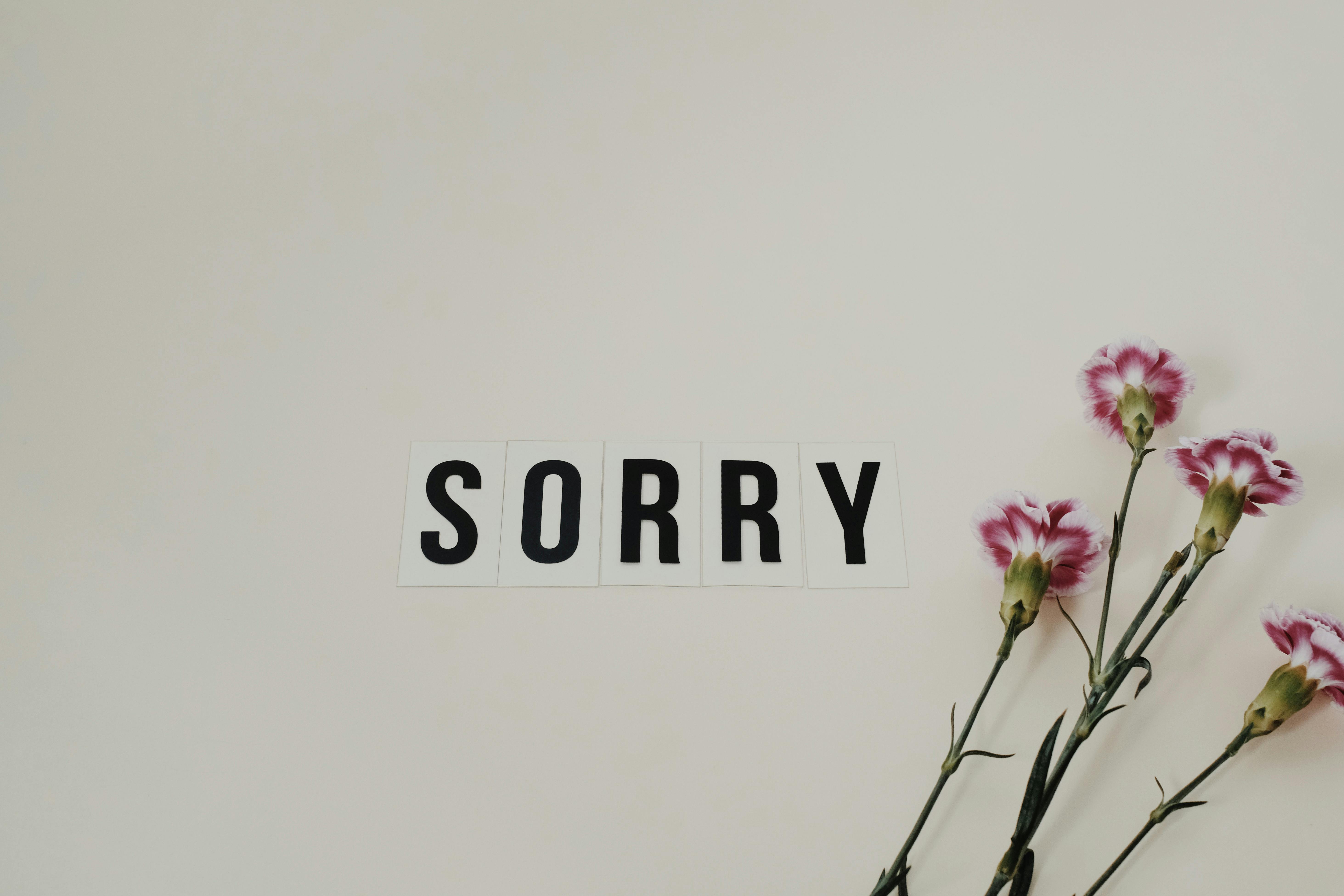 Pse disa njerëz nuk kërkojnë falje dhe kur janë gabim